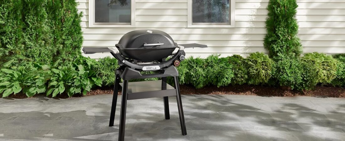 WEBER STAND